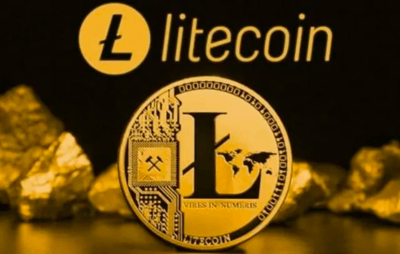 ltc莱特币属于哪个公链？基于哪个网络