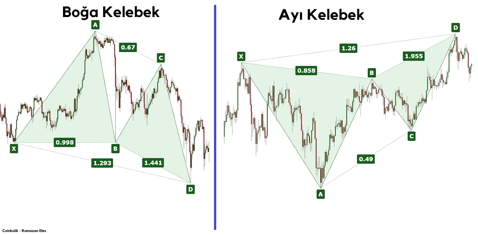 Boga-Kelebek-Formasyonu-1.png