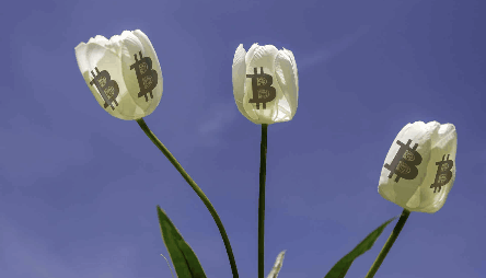 WX20231211-145415@2x.png