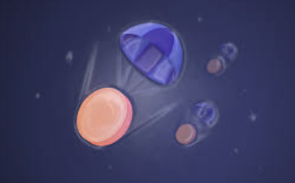 WX20231211-200712@2x.png