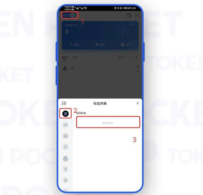 SOL链怎么添加？TP钱包添加SOL链操作教程(图2)