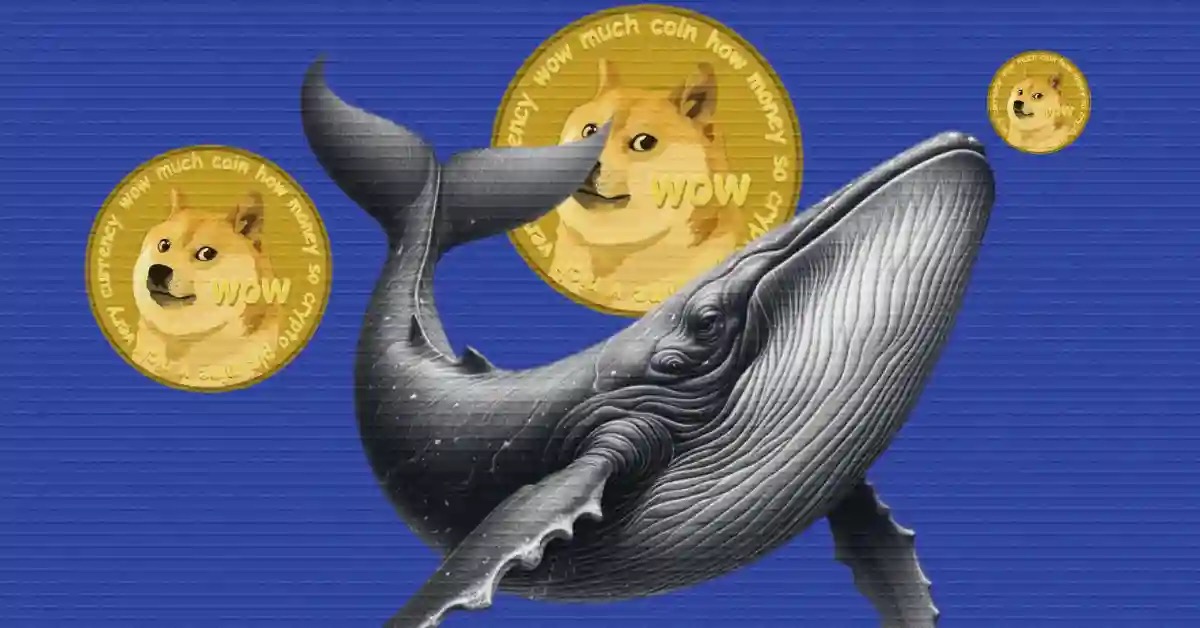 鲸鱼开始囤积 DOGE，狗狗币价格会反弹