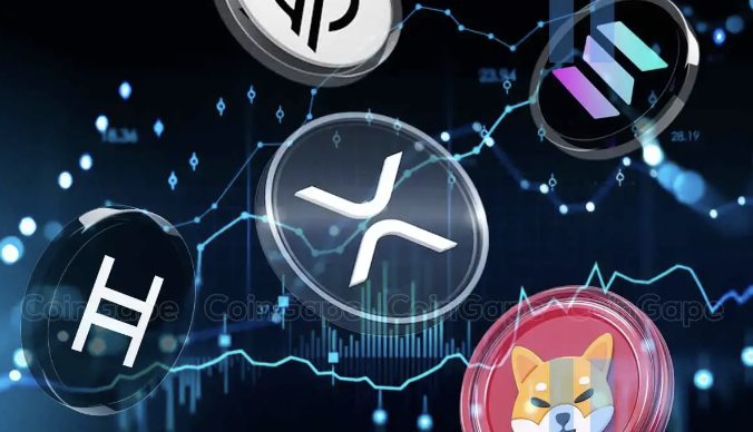 山寨币调整结束了吗？以下是 2025 年的预期
